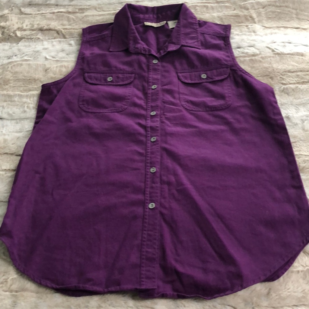 Arizona Purple Button Down